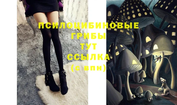 герыч Осинники