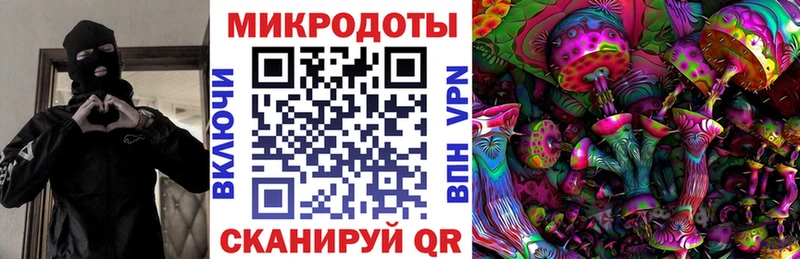 хочу наркоту  blacksprut ССЫЛКА  Псилоцибиновые грибы мицелий  Новомичуринск 